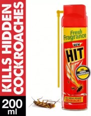 HIT Crawling Insect Killer Spray