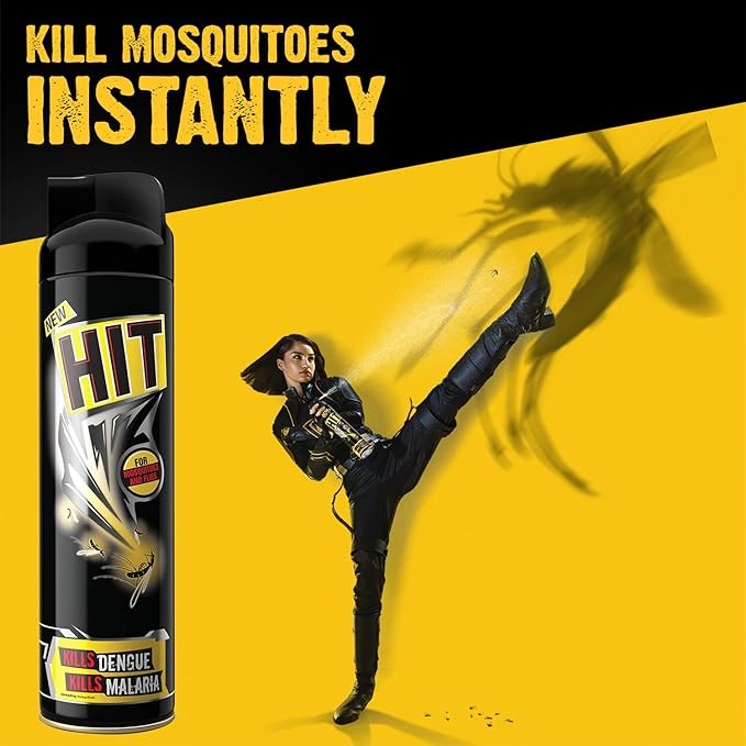 Hit Flies & Mosquitoes Black Insect Killer Spray