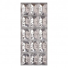 Vizylac Capsule