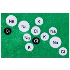 Electral Powder